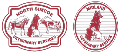 North Simcoe Veterinary Services